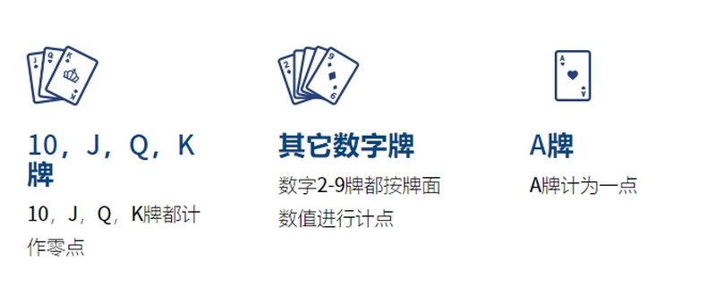 在乐鱼体育玩百家乐是什么体验